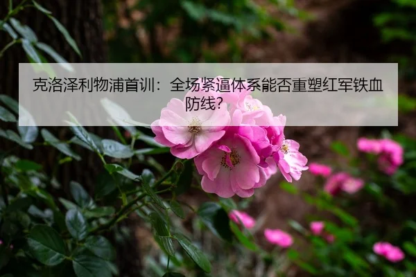 克洛泽利物浦首训：全场紧逼体系能否重塑红军铁血防线？